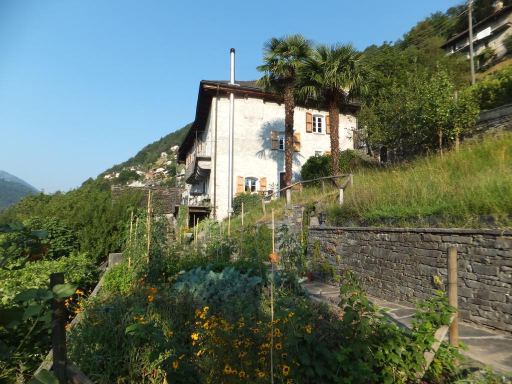 Casa Del Sarto Apartman Intragna Kültér fotó